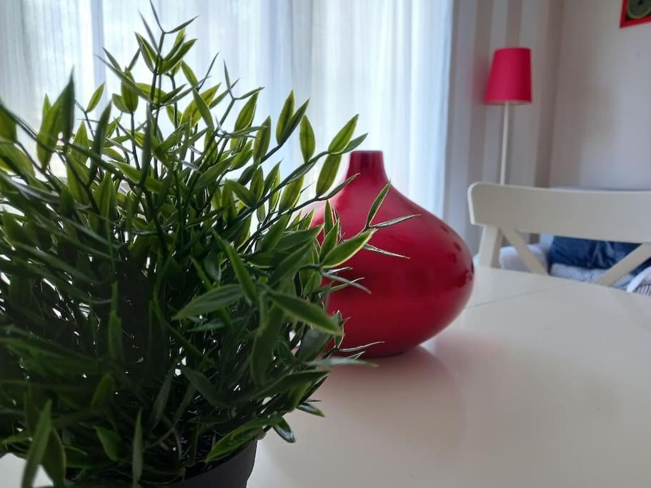Apartamento Tranquilo Cerca De Zonas Verdes Cieza Εξωτερικό φωτογραφία